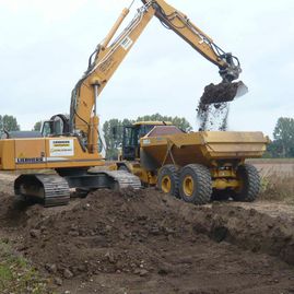 Impressionen von WBH-Bau aus Neustadt