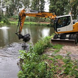 Impressionen von WBH-Bau aus Neustadt